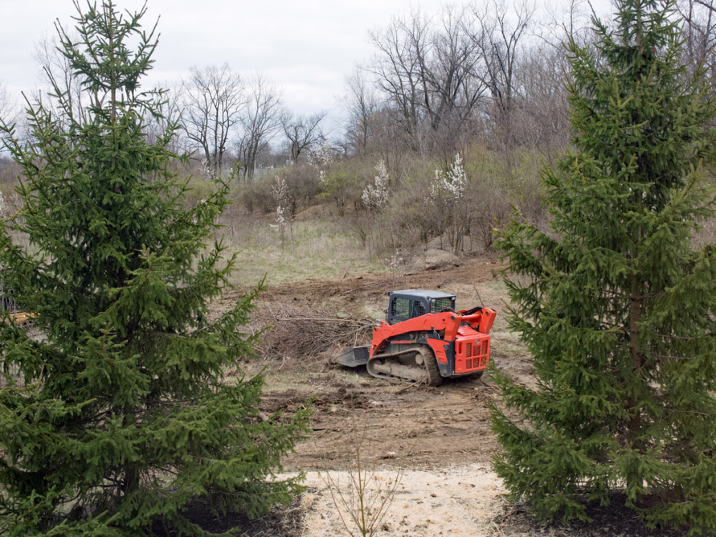 Land Clearing & Grading | Carmon's Inc.